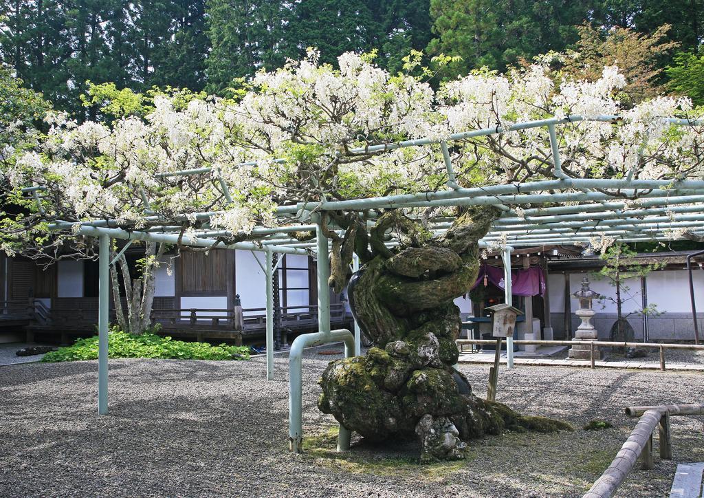 Sojiin Hotel Koyasan Bagian luar foto